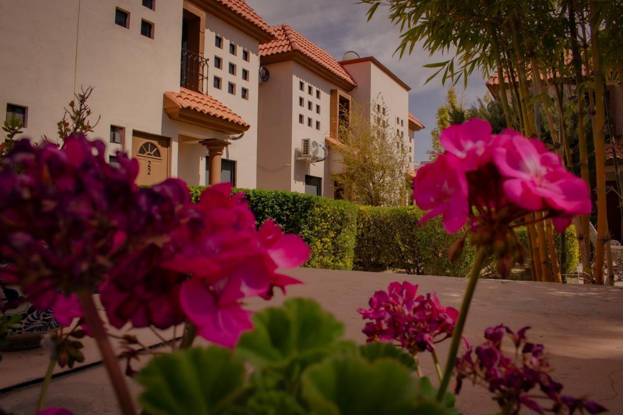 Suites Cervantes ชิฮวาฮวา ภายนอก รูปภาพ